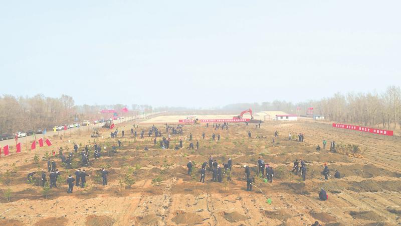 春雨过后绿满园图片_副本.jpg